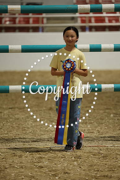AVMM4782