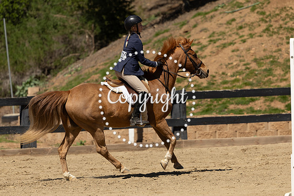 AVMM6490
