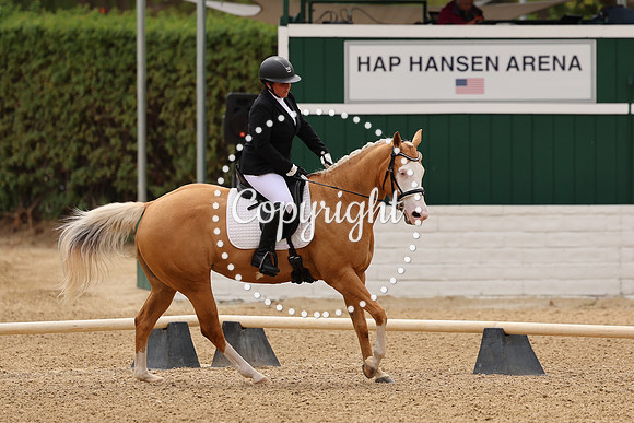 AVMM3000