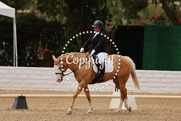 AVMM3012