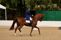 AVMM0664