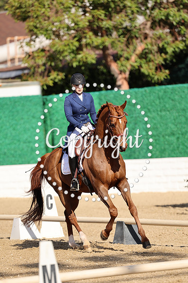 AVMM3903