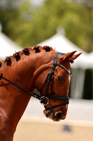 LA Spring Dressage 4/25 - 4/26