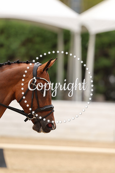 AVMM3372