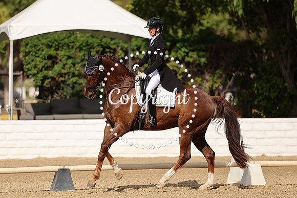 AVMM4089