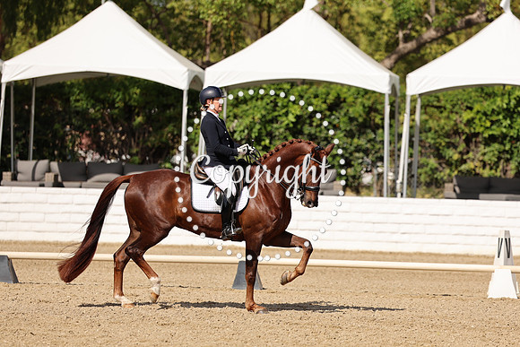 AVMM4717