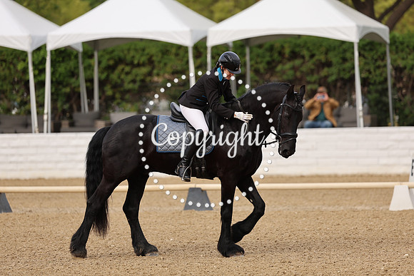 AVMM0180