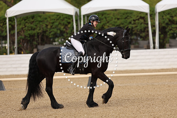 AVMM0192