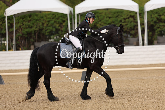 AVMM0193