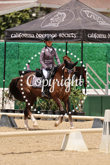AVMM7376