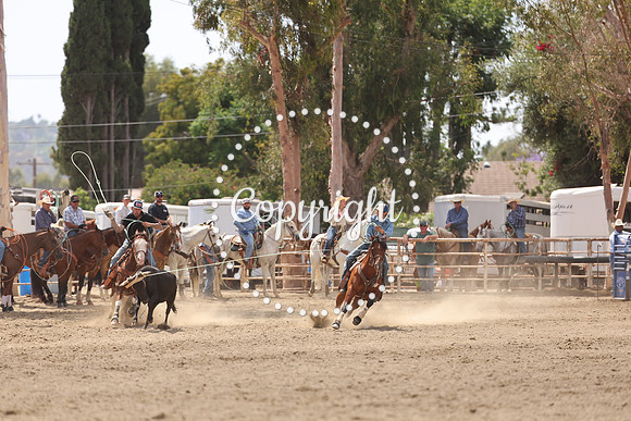 AVMM0591