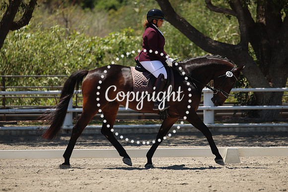 IMG_5127