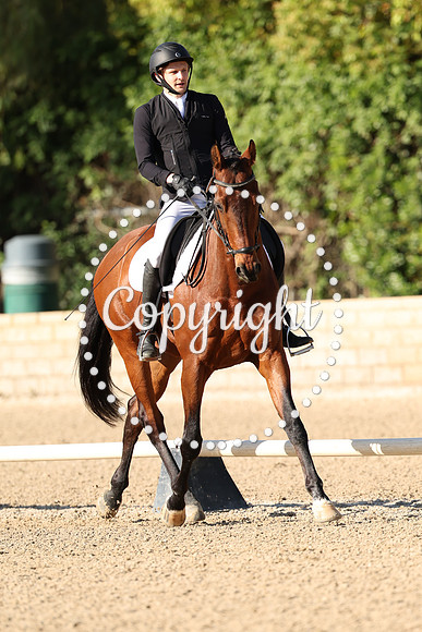 AVMP7621