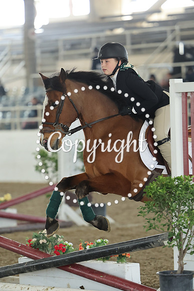 AVMM1779