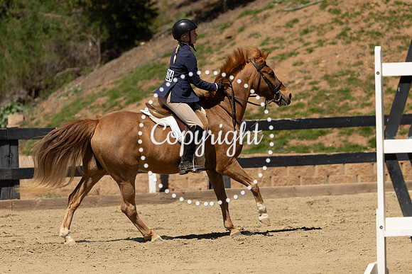 AVMM6491