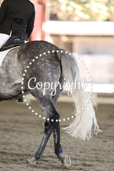 AVMP8763