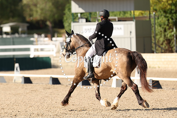 AVMP8260