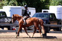 AVMP0687