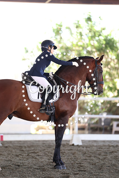 AVMP5769