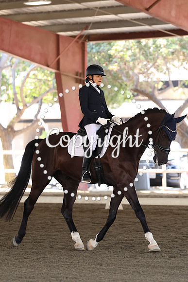 AVMP1441