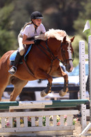 AVMP4129