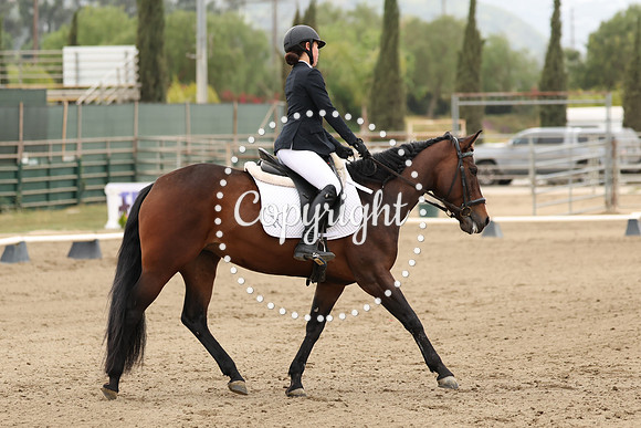 AVMP1436