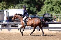 AVMP0276