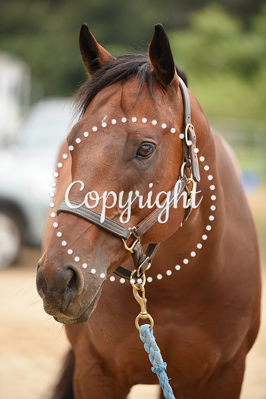 DSC_1640