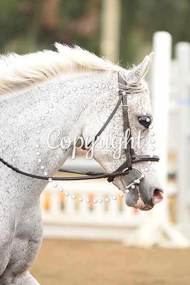 DSC_1279