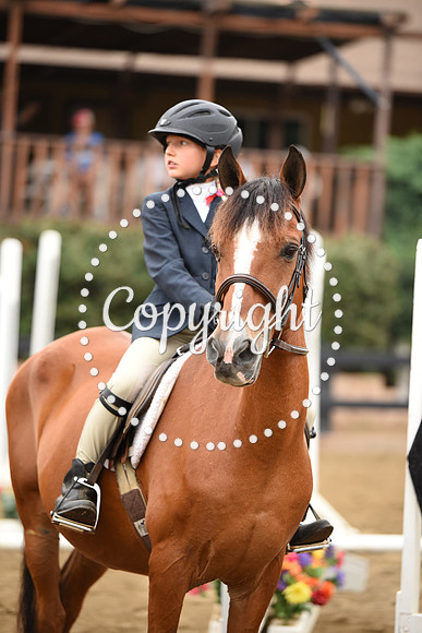 DSC_1493