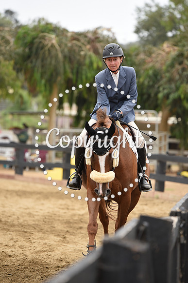 DSC_0783