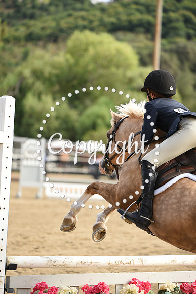 DSC_2858