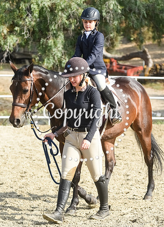 DSC_0153