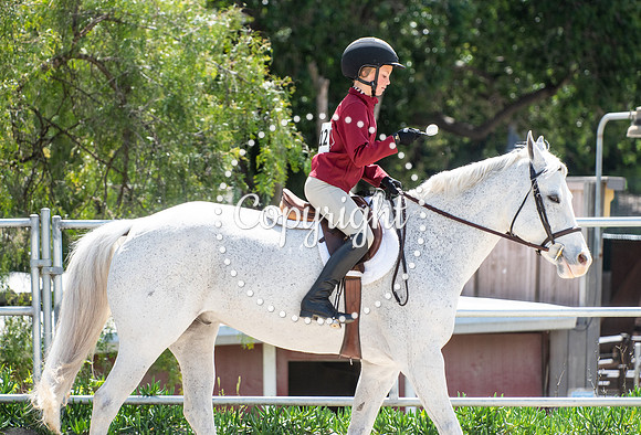 DSC_8191
