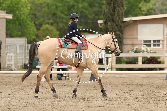 AVMP4856