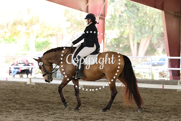 AVMP7978