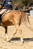 AVMM6548