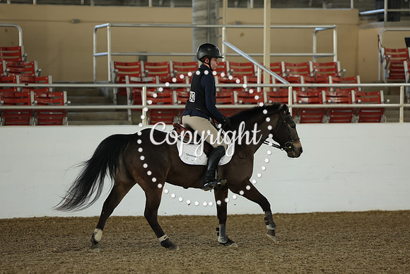 AVMM3170