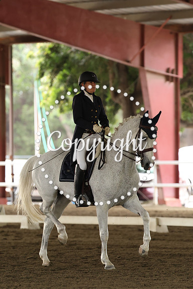 AVMP3423