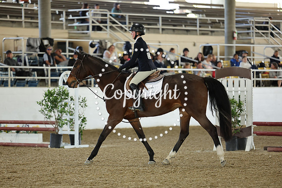 AVMM4451