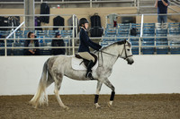 AVMM2338