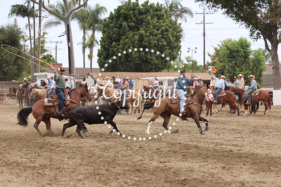 AVMM7987