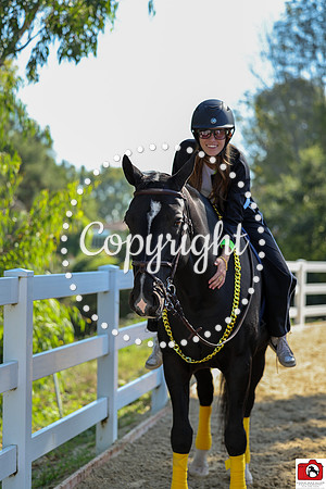 012A3612