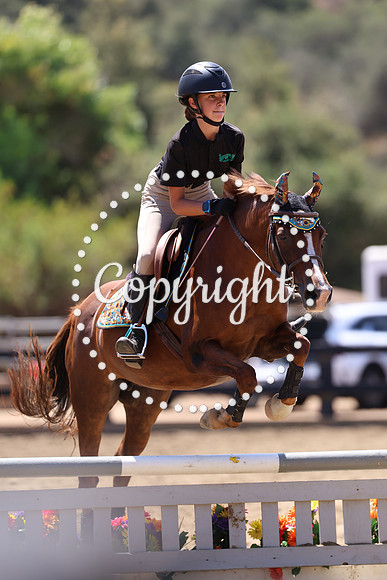 AVMP3873