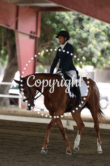 AVMP4498