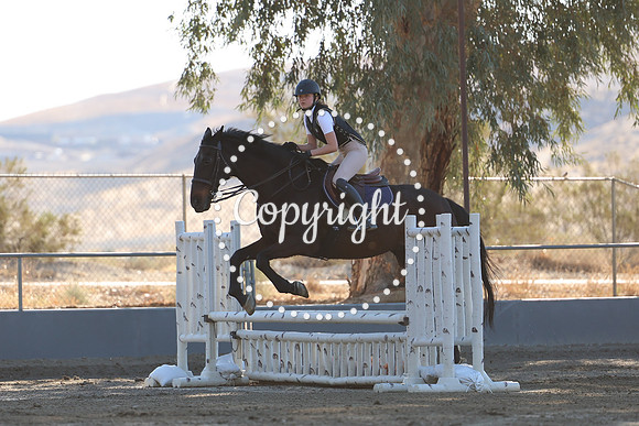AVMM0941