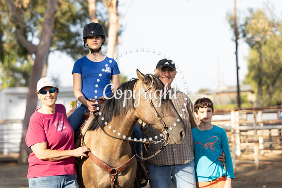 AVMP1387