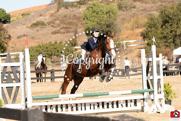 AVM_0213
