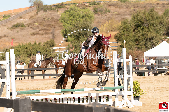 AVM_0247