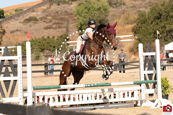 AVM_0349